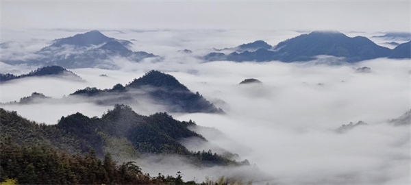 皖黃山區：龍王山雲海美如畫