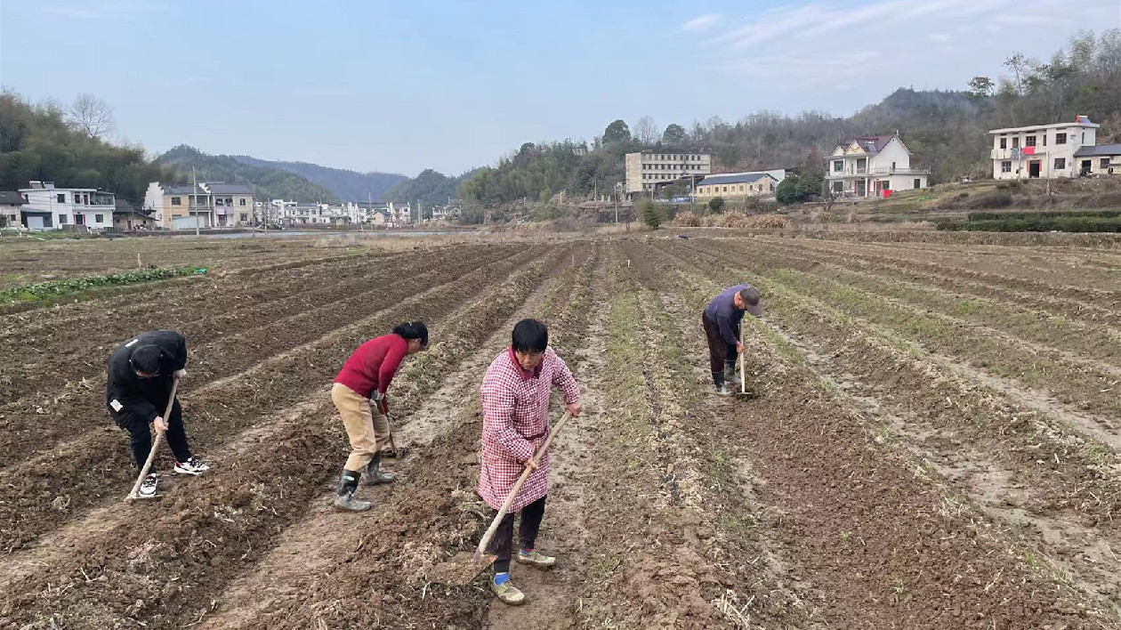 春耕生產近身照護  皖黟縣漁亭鎮實現科技服務全覆蓋