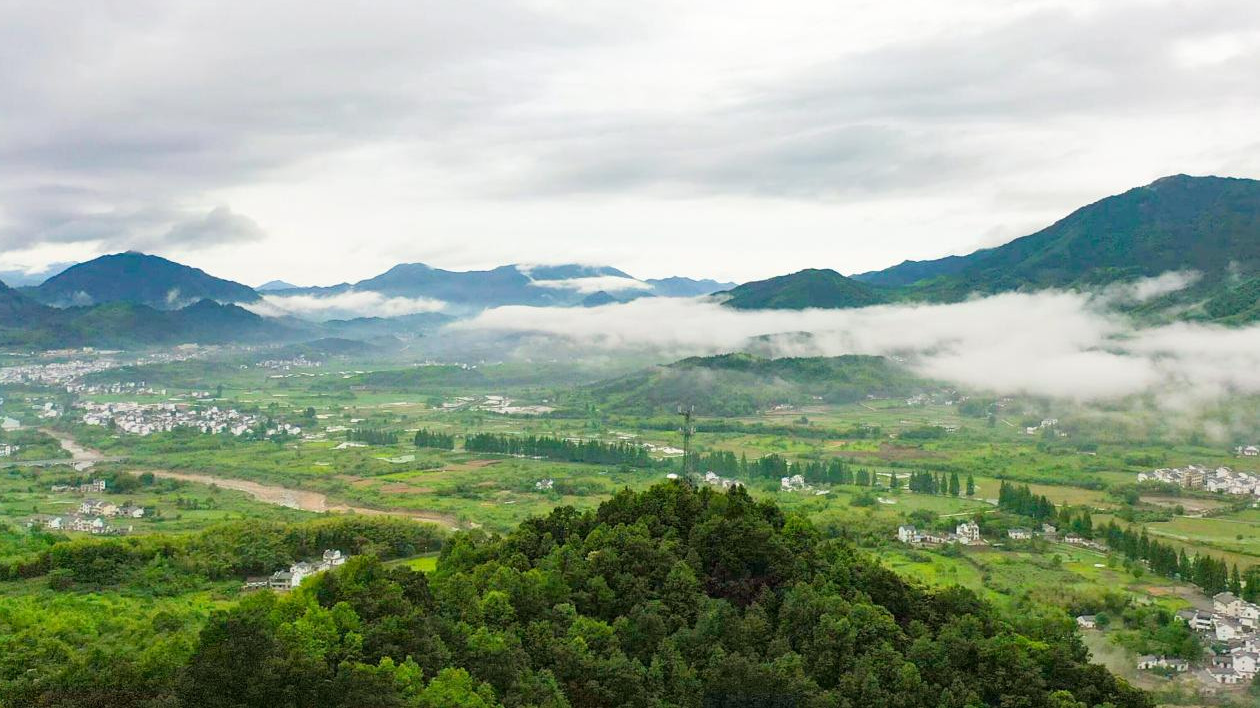 皖黃山區焦村鎮：民宿成集群  振興好風光