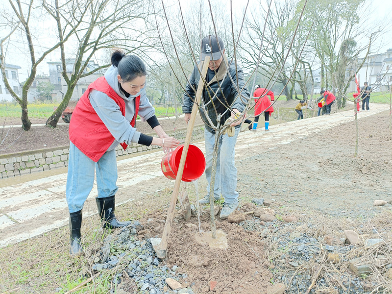 村村動人人栽處處綠  皖屯溪區屯光鎮暖春三月植樹忙