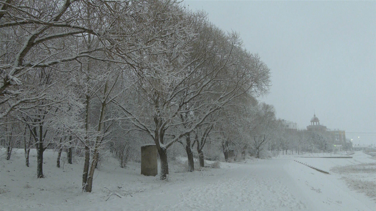 黑龍江呼瑪：大雪天氣保民生 春雪如畫醉遊人