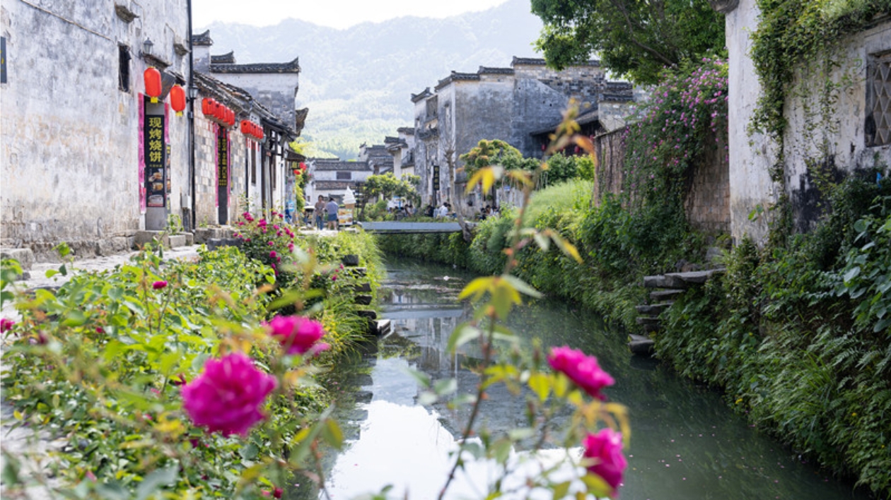 皖黟縣：轉角花開迷人眼  屏山古村多姿彩