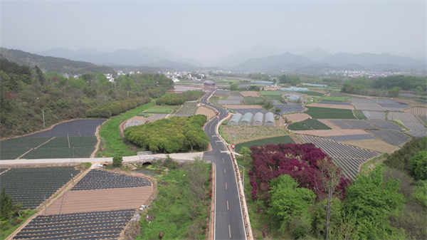 彰顯區域特色  皖休寧縣「四好農村路」成風景線