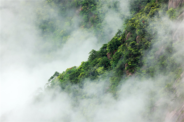 雲遊黃山 開啟夢幻仙境神奇之旅