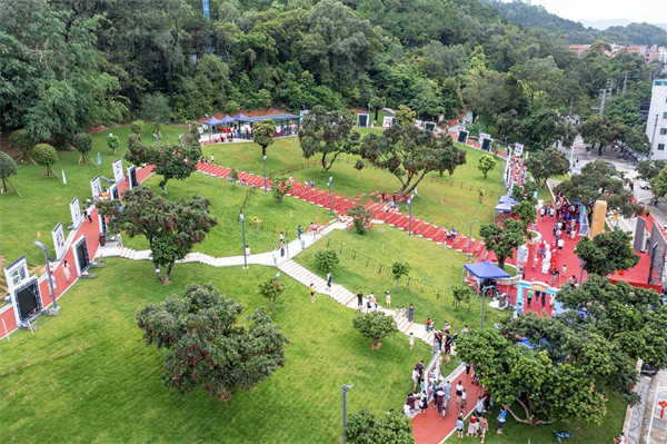 品荔枝逛公園 莞長安荔新公園開門「納客」