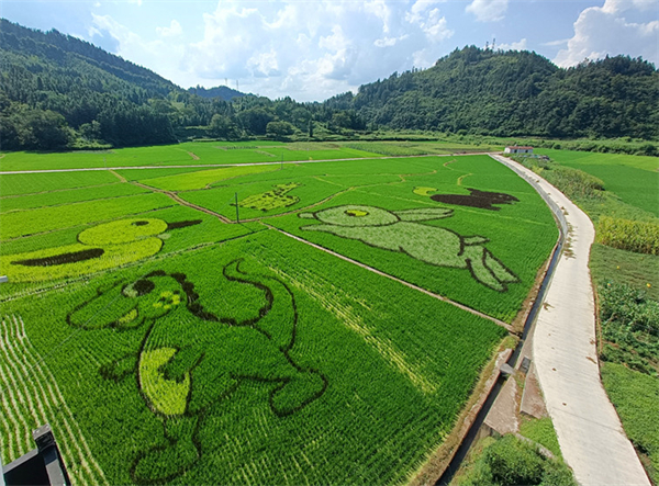 皖休寧商山：多措並舉擦亮鄉村振興底色