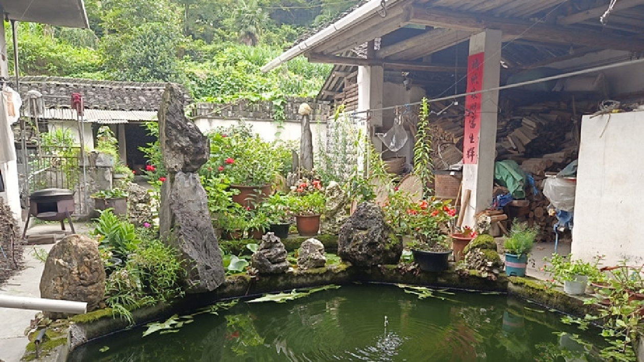 皖黟縣：創建美麗庭院  添彩幸福柯村