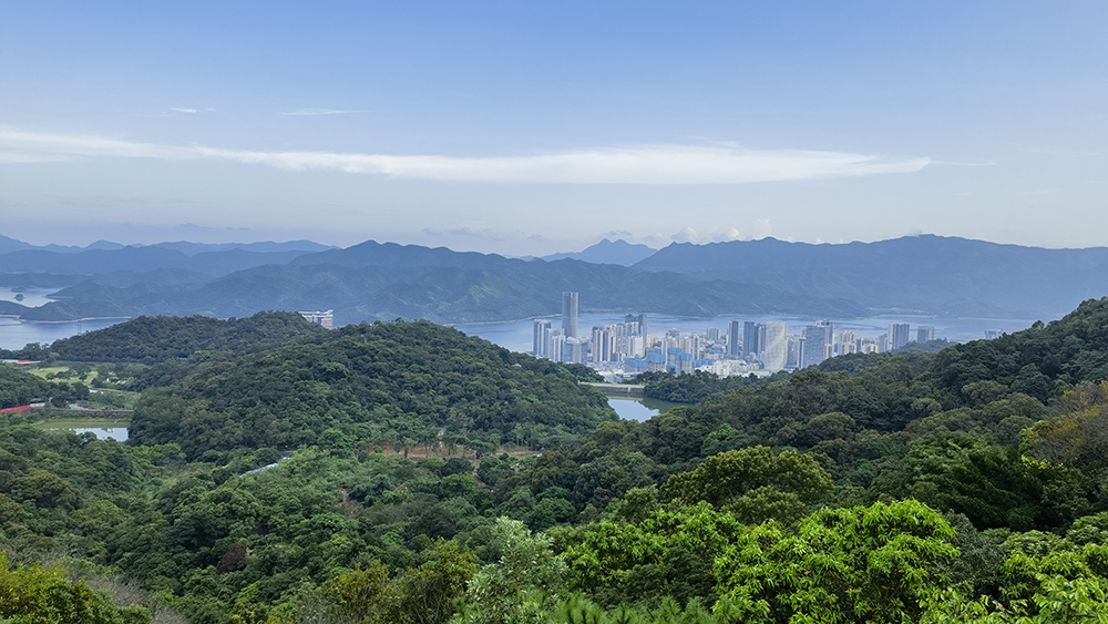 那山，那林，那人