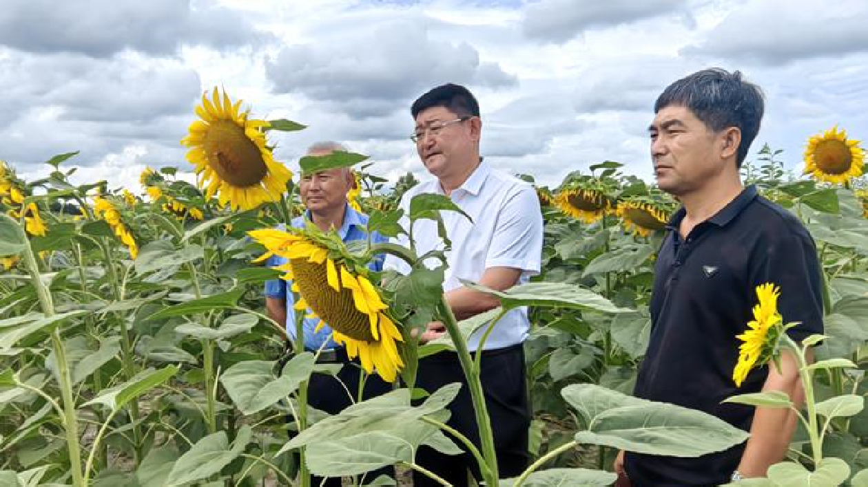 吉林省農業農村廳對西部地區省級現代農業產業技術體系項目開展中期檢查