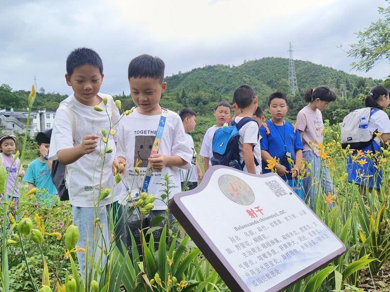 皖祁門縣：「御醫之鄉」 興研學