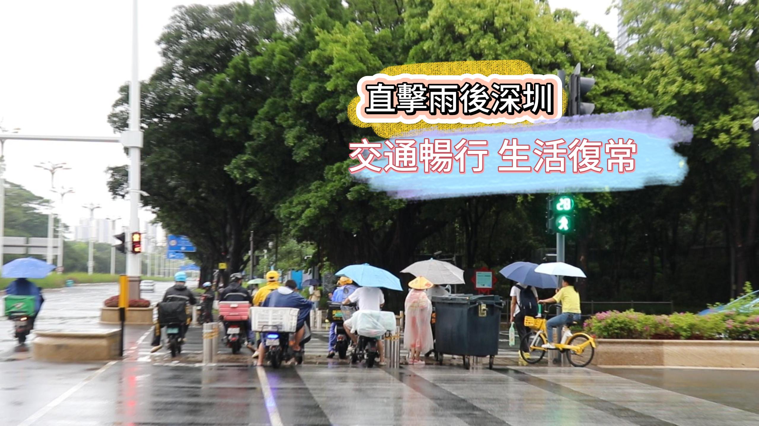 有片 | 直擊雨後深圳：交通暢行 生活復常