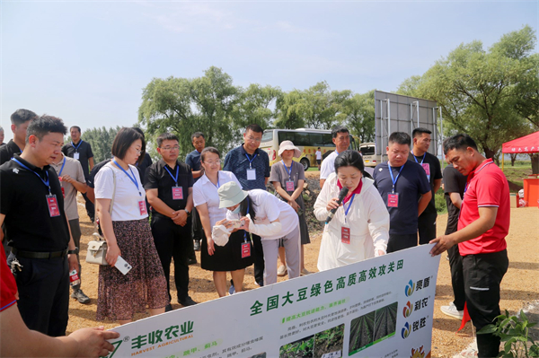 黑龍江寶清縣高質量推動全國大豆綠色高產高效行動示範縣創建