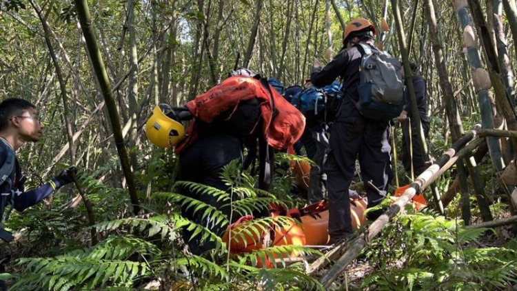 台灣一登山團遭蜂群攻擊 致2死9傷