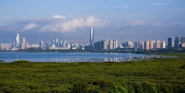 馬海鵬：深圳生態保護實踐十分超前