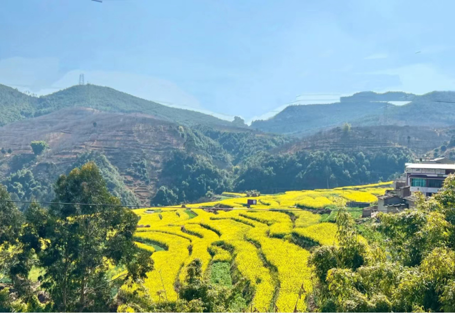 雲南祿勸屏山街道：譜寫民族團結進步新篇章