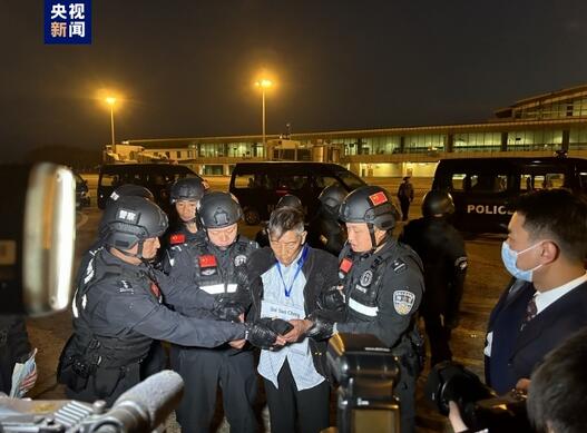 公安部：白所成魏懷仁等10名緬北重大犯罪嫌疑人被成功押解回國