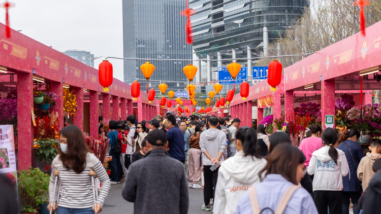 深圳寶安迎春花市「龍」重上線  快來打卡「廊橋花市」