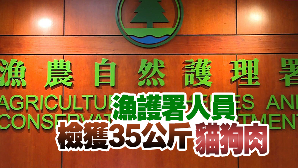 旺角上海街一處所疑出售狗肉貓肉作食物 一名不法商人被捕