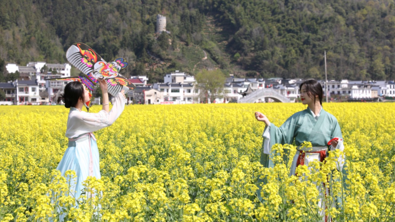 激活新質生產力  皖黟縣柯村鎮「五色」戰略添彩振興圖景