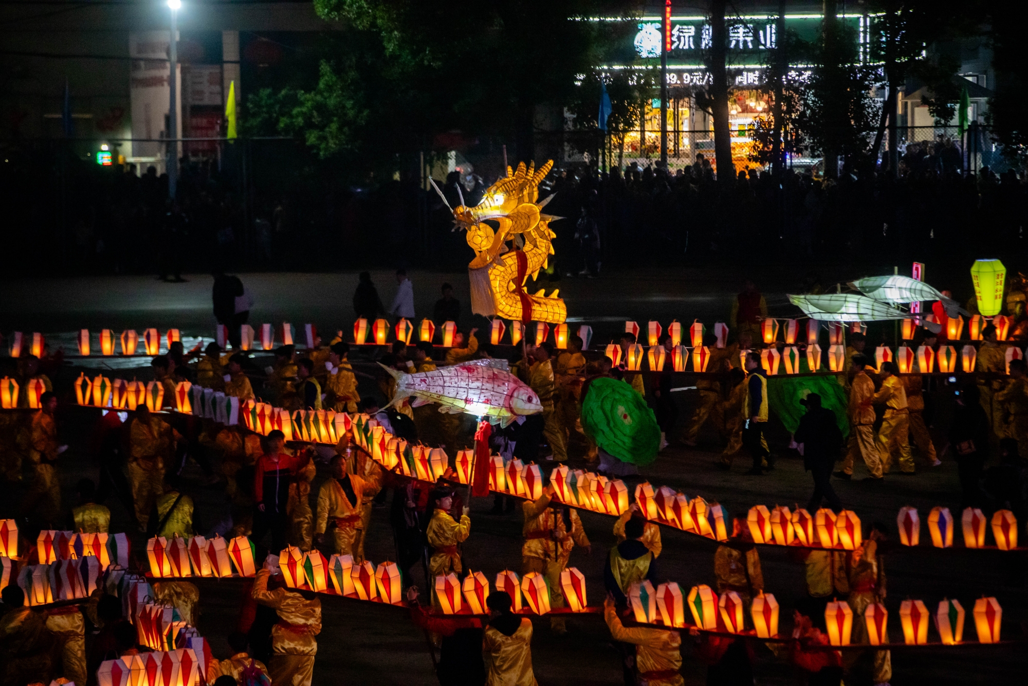 來慈利 感受國家級非遺「板板龍燈」魅力