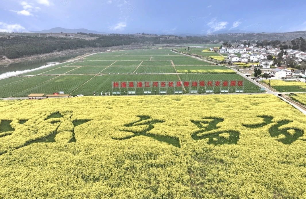 四川梓潼：建設觀光體驗式基地 推進鄉村主題游發展