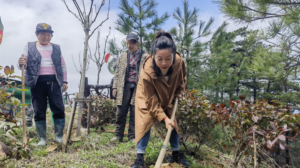  皖歙縣獅石：名匠大師種樹忙 植綠煥紅天路美