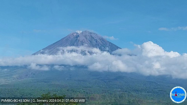 印尼塞梅魯火山噴發 火山灰柱達300米