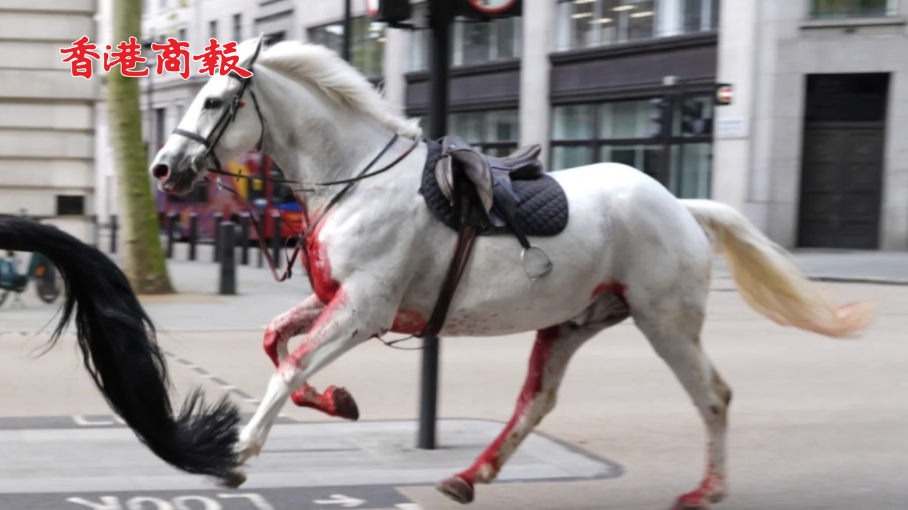 有片｜白金漢宮附近5匹軍馬受驚嚇 在倫敦街道上狂奔