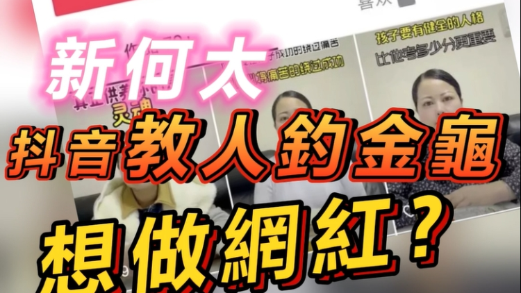 【短頻快評】「新何太」抖音教人釣金龜，想做網紅？