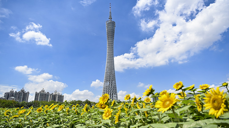 向「新」提「質」贏未來！廣東加速發展新質生產力