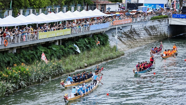 龍騰灣區 夏日狂潮 粵港澳龍舟賽在深圳福田成功舉行