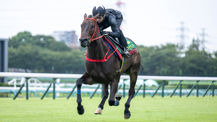 夥拍維港智能出戰短途馬錦標 雷神：相信牠可跑進前列