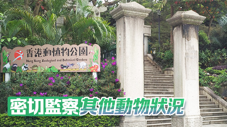 香港動植物公園8隻猴子同日死亡 14日起暫停開放園內哺乳類動物區