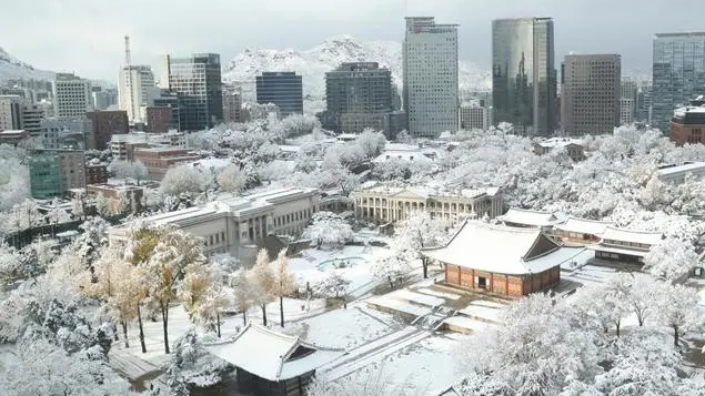 積雪超40cm沒過膝蓋！韓國多地罕見大雪 相關事故已致5人死亡