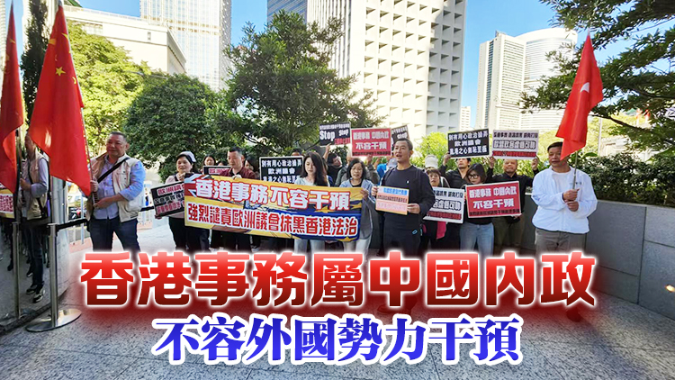 市民到歐盟駐港辦事處抗議 強烈譴責歐洲議會干預香港事務