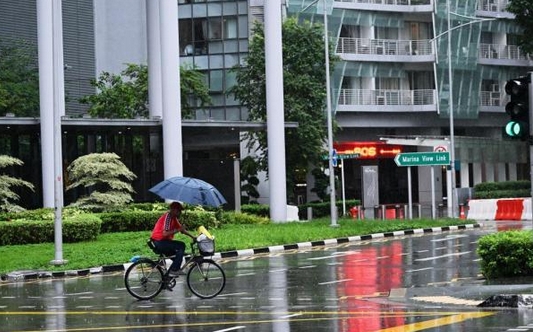 新加坡11月份降雨量達到44年來最高 