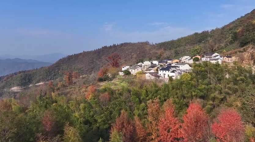 賞紅葉觀雲海 皖休寧金龍山冬景美如畫